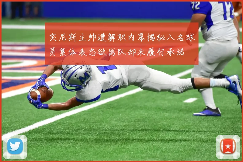 突尼斯主帅遭解职内幕揭秘八名球员集体表态欲离队却未履行承诺